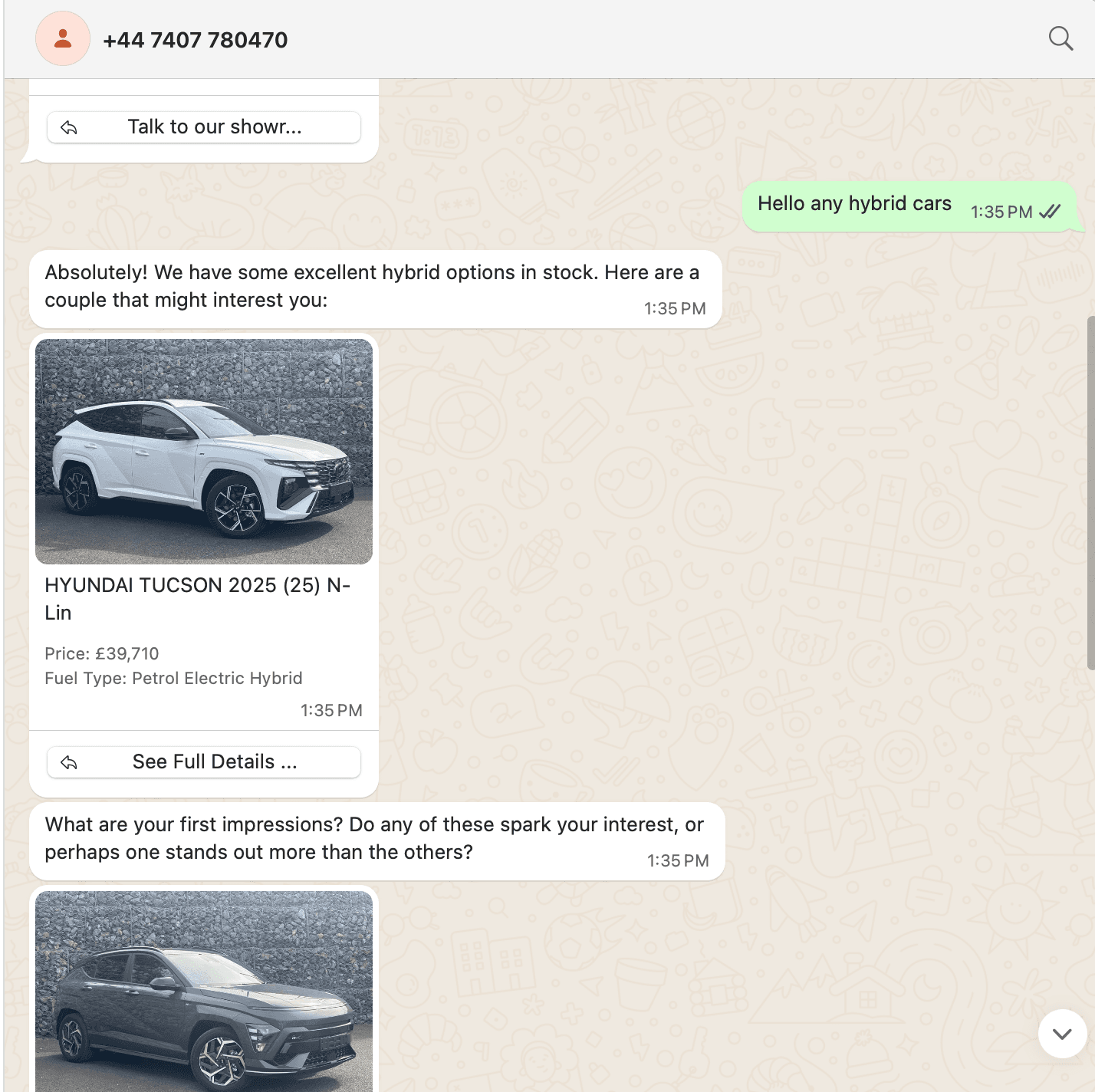 WhatsApp conversation example 2